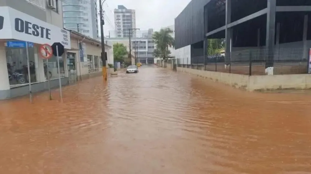 Divulgação 