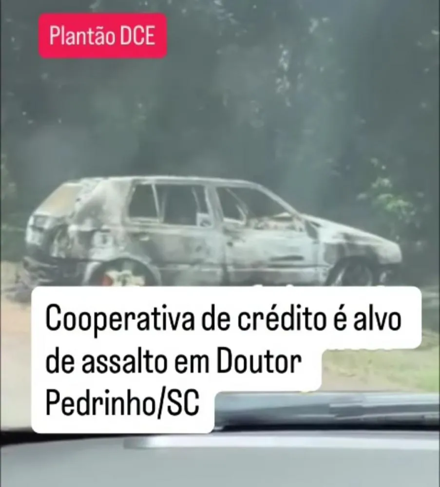 Divulgação 