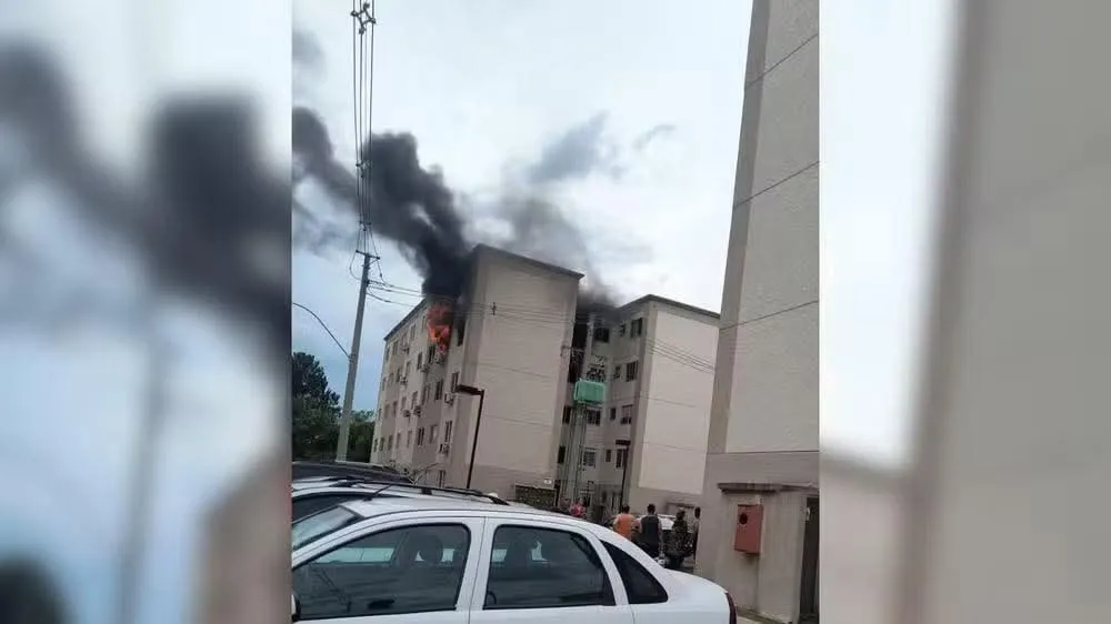 Divulgação 