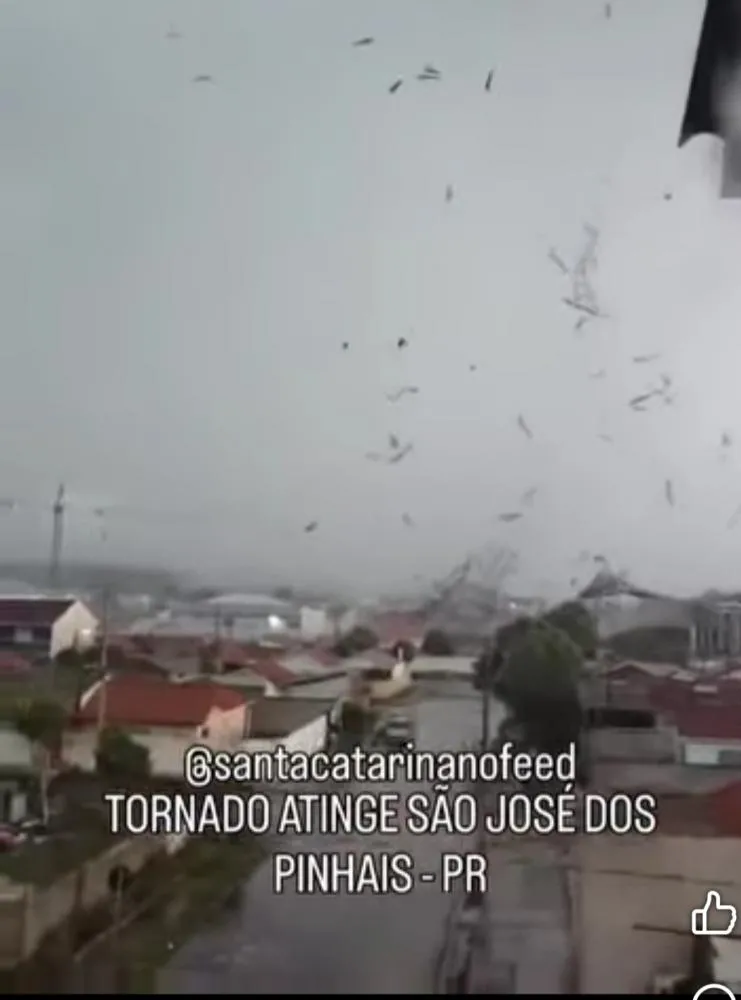 Divulgação 